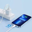 Joyroom kabel USB-C - Lightning 480Mb/s 20W 0,25m černý (S-CL020A9)