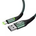 Mcdodo Magnificence CA-7961 LED kabel USB na USB-C, 1 m (zelený)