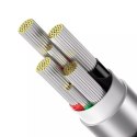 Baseus Explorer kabel USB na USB-C, 100 W, 2 m (černý)