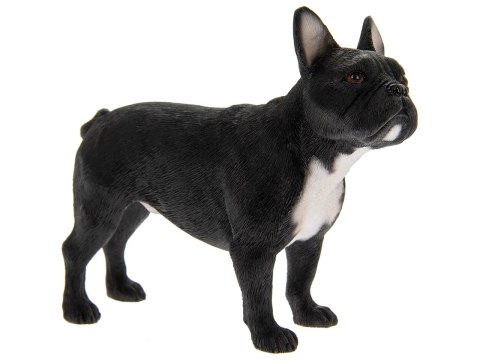 Figurka - pies French Bulldog Black