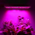 Lampa/ panel 225 LED do wzrostu uprawy roślin