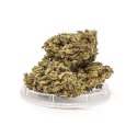 CBD Kwiaty Konopi "Green Candy" 1 g