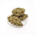 CBD Kwiaty Konopi "Green Candy" 1 g