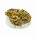 CBD Kwiaty Konopi "Orange Bud" 0,3 g