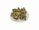 CBD Kwiaty Konopi "Strawberry Haze" 1 g