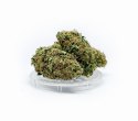 CBD Kwiaty Konopi "Pineapple Express" 4,20 g