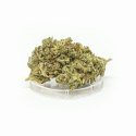 CBD Kwiaty Konopi "Super Lemon Haze" 4,20 g