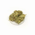 CBD Kwiaty Konopi "Super Lemon Haze" 4,20 g