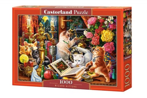 Puzzle 1000 elementów Koty magiczne kotki