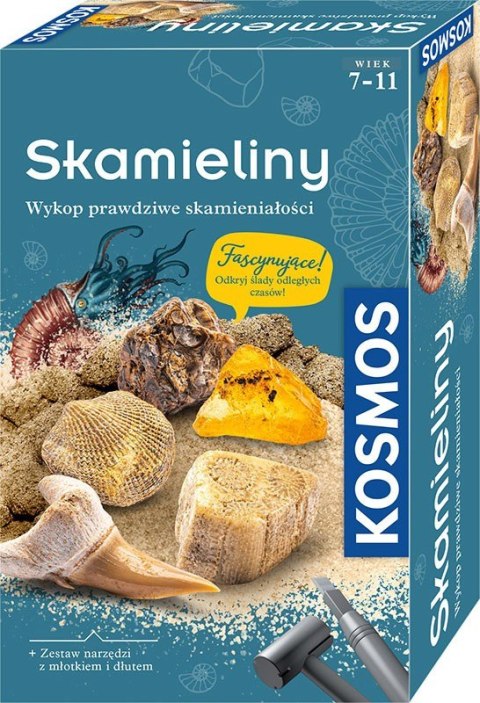 Zestaw Archeologiczny Skamieliny