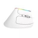 Bezprzewodowa mysz pionowa Delux M618C 2.4G 1600DPI RGB (biała)