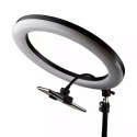 Lampa pierścieniowa + uchwyt uniwesalny + pilot SOMOSTEL SMS-ZB02 LED Ring Lamp 32cm Stojak Statyw Oświetlenie do zdjęć