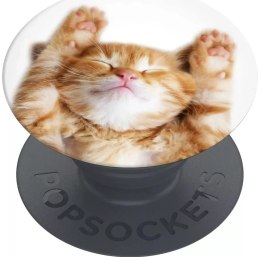 Uchwyt i podstawka do telefonu Popsockets 2 Snoozy Cat