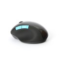 OMEGA MOUSE MYSZ BEZPRZEWODOWA FAT 2IN1 ACCU WIRELESS 2 4GHz 1000DPI BLACK [43664] TE