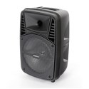 OMEGA SPEAKER GŁOŚNIK 20W + 3W TWEETER KARAOKE MIC FM BLUETOOTH [44907]