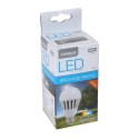 OMEGA LED BULB ŻARÓWKA LED ŻARÓWKA LED ECO 6000K E27 12W 220-240V [42581]