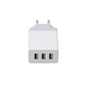 PLATINET WALL CHARGER ŁADOWARKA ŚCIENNA 3xUSB 3A 15W WHITE [44754]