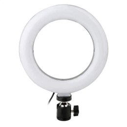 PLATINET RING LAMP LAMPA PIERŚCIENIOWA 6 INCH WITH A TRIPOD [45608]