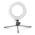 PLATINET RING LAMP LAMPA PIERŚCIENIOWA 6 INCH WITH A TRIPOD [45608]