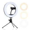 PLATINET RING LAMP LAMPA PIERŚCIENIOWA 8 INCH WITH PHONE HOLDER AND TRIPOD [45609]