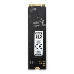 PLATINET SSD 120GB M.2 350/450MB/s Samsung TLC [44136]