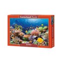 PUZZLE CORAL REEF FISHES 1000el CASTORLAND