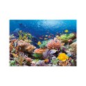 PUZZLE CORAL REEF FISHES 1000el CASTORLAND