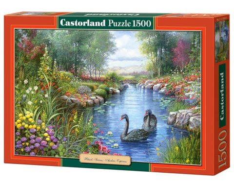 PUZZLE BLACK SWANS 1500el CASTORLAND