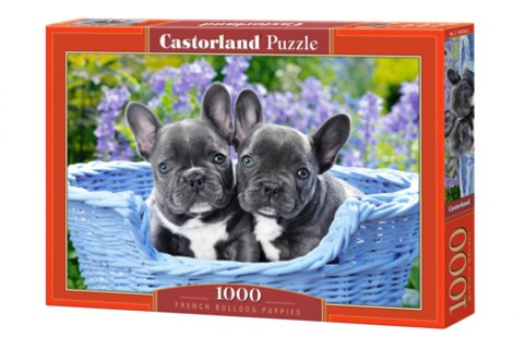 PUZZLE FRENCH BULLDOG 1000el CASTORLAND