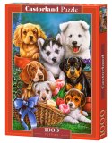 PUZZLE PUPPIES 1000el CASTORLAND