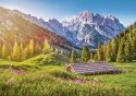 PUZZLE SUMMER IN ALPS 500el CASTORLAND