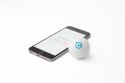 Sphero Mini - robot edukacyjny z aplikacją (white)