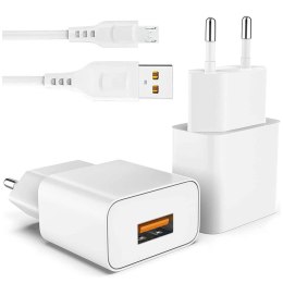 Ładowarka sieciowa Alogy szybka USB-C PD 20W + Kabel Lightning 1m Biały