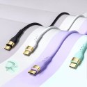 Joyroom Liquid Silicone USB Type C - Câble de chargement / données USB Type C PD 100W 1,2m vert (S-1250N18-10)