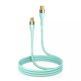 Joyroom Liquid Silicone USB Type C - Câble de chargement / données USB Type C PD 100W 2m vert (S-2050N18-10)
