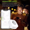 GOSUND Inteligentne gniazdko WiFi SP1 2pack 3680W