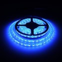 Whitenergy Taśma LED 5m 60szt/m SMD5050 14.4W/m 12V IP65 10mm RGB bez konektora