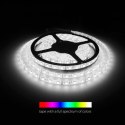 Whitenergy Taśma LED 5m 60szt/m SMD5050 14.4W/m 12V IP65 10mm RGB bez konektora