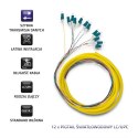 Qoltec 12 x Pigtail światłowodowy LC/UPC | Singlemode | G657A2 | 2m