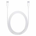 Oryginalny Kabel Apple A1739 2x USB-C Type C do Macbook iPad 2m Biały