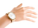 ZEGAREK DAMSKI ALBATROSS ABAC11 (za540b) beige / gold