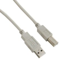 4World Kabel USB 2.0 A-B M / M 5m | szary